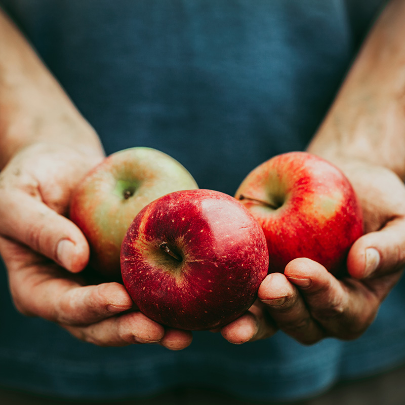 Fresh Food From Earth